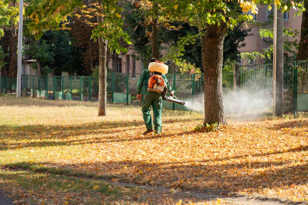 Best Commercial Pest Control Services  in Vienna, VA